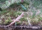 20170525_122521 (Copy)